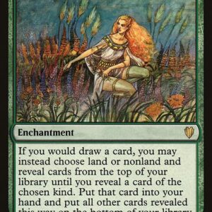Commander 2017 - 145 - Abundance - Rare - G - Non-foil (Front)