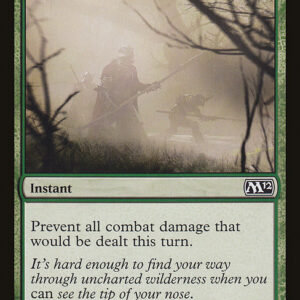 Magic 2012 - 173 - Fog - Common - G - Non-foil (Front)