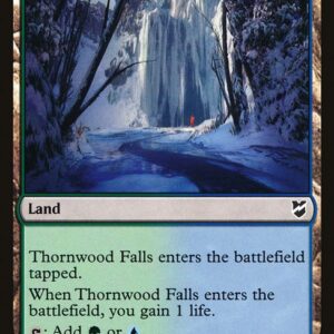 The List - C18-287 - Thornwood Falls - Common - C - Non-foil (Front)