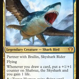 Commander 2020 - 14 - Shabraz, the Skyshark - Mythic - WU - Foil (Front)