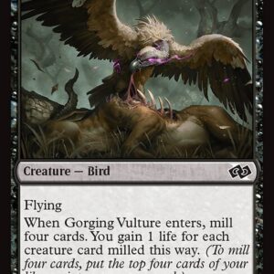 Foundations Jumpstart - 449 - Gorging Vulture - Common - B - Non-foil (Front)