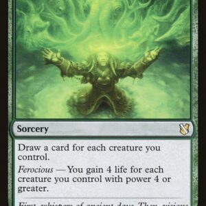 Commander 2019 - 180 - Shamanic Revelation - Rare - G - Non-foil (Front)