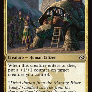 Tarkir: Dragonstorm - 217 - Reputable Merchant - Common - Multi - Non-foil (Front)