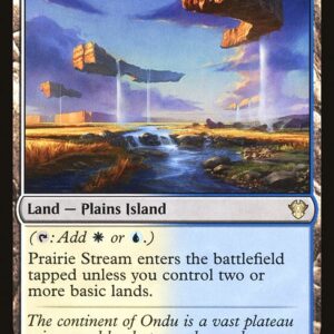 Commander 2020 - 299 - Prairie Stream - Rare - C - Non-foil (Front)