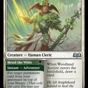 Wilds of Eldraine - 241 - Woodland Acolyte // Mend the Wilds - Uncommon - W - Non-foil (Front)