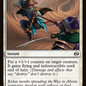 Tarkir: Dragonstorm - 14 - Lightfoot Technique - Common - W - Non-foil (Front)