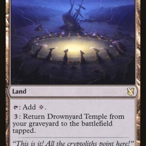 Commander 2019 - 240 - Drownyard Temple - Rare - C - Non-foil (Front)