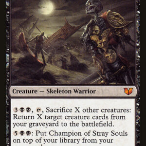 Commander 2015 - 119 - Champion of Stray Souls - Mythic - B - Non-foil (Front)