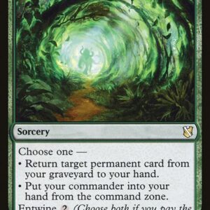 Commander 2019 - 34 - Road of Return - Rare - G - Non-foil (Front)