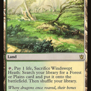 Khans of Tarkir - 248 - Windswept Heath - Rare - C - Non-foil (Front)