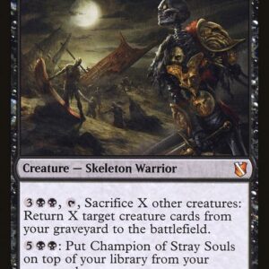 Commander 2019 - 109 - Champion of Stray Souls - Mythic - B - Non-foil (Front)