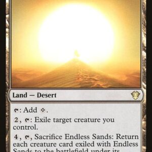 Commander 2020 - 272 - Endless Sands - Rare - C - Non-foil (Front)