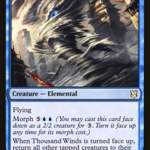 Commander 2019 - 100 - Thousand Winds - Rare - U - Non-foil (Front)