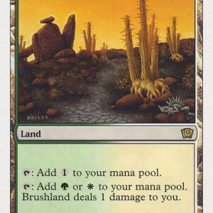 Ninth Edition - 319 - Brushland - Rare - C - Non-foil (Front)