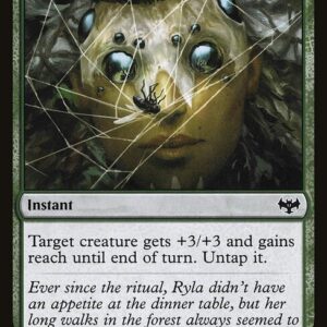 Innistrad: Crimson Vow - 227 - Witch's Web - Common - G - Non-foil