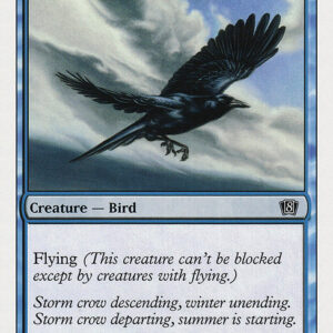Eighth Edition - 104 - Storm Crow - Common - U - Non-foil (Front)