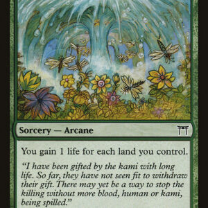 Champions of Kamigawa - 216 - Joyous Respite - Common - G - Non-foil