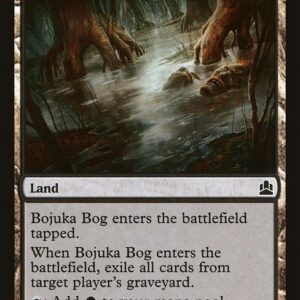 Commander 2011 - 267 - Bojuka Bog - Common - C - Non-foil (Front)