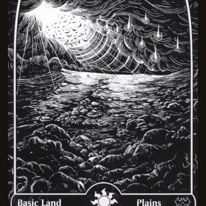 Innistrad: Crimson Vow - 269 - Plains - Common - C - Non-foil