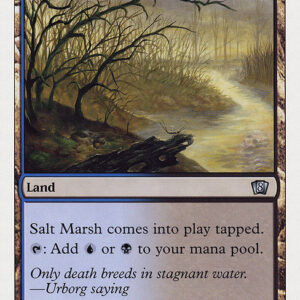 Eighth Edition - 325 - Salt Marsh - Uncommon - C - Non-foil (Front)
