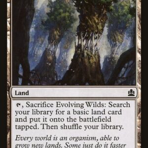 Commander 2011 - 272 - Evolving Wilds - Common - C - Non-foil (Front)