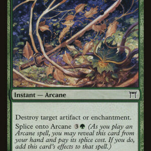 Champions of Kamigawa - 250 - Wear Away - Common - G - Non-foil