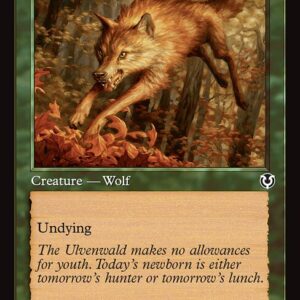 Innistrad Remastered - 425 - Young Wolf - Common - G - Non-foil - Promo (Front)
