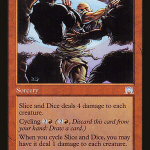 Onslaught - 232 - Slice and Dice - Uncommon - R - Non-foil (Front)
