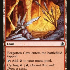 Commander 2011 - 273 - Forgotten Cave - Common - C - Non-foil (Front)