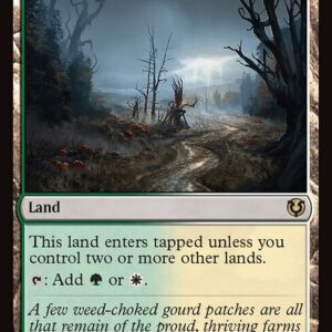 Innistrad Remastered - 281 - Overgrown Farmland - Rare - C - Non-foil (Front)