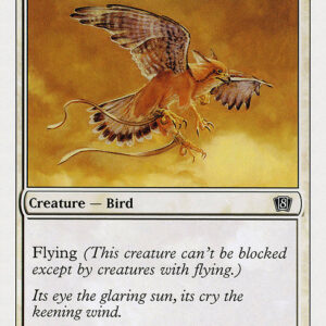 Eighth Edition - 51 - Suntail Hawk - Common - W - Non-foil (Front)