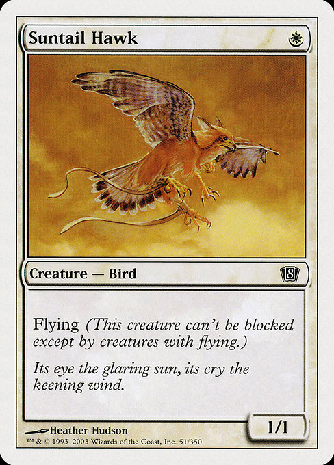 Eighth Edition - 51 - Suntail Hawk - Common - W - Non-foil (Front)
