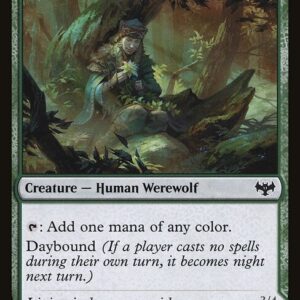 Innistrad: Crimson Vow - 226 - Weaver of Blossoms // Blossom-Clad Werewolf - Common - C - Non-foil