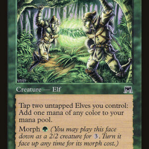 Onslaught - 248 - Birchlore Rangers - Common - G - Non-foil (Front)
