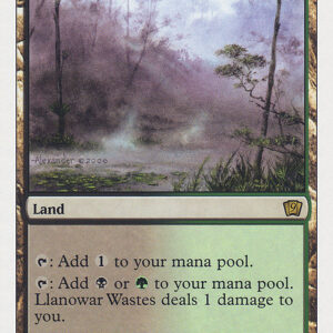 Ninth Edition - 322 - Llanowar Wastes - Rare - C - Non-foil (Front)