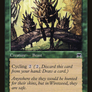 Onslaught - 246 - Barkhide Mauler - Common - G - Non-foil (Front)