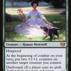 Innistrad: Crimson Vow - 187 - Avabruck Caretaker // Hollowhenge Huntmaster - Mythic - C - Non-foil