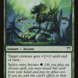 Champions of Kamigawa - 224 - Kodama's Might - Common - G - Non-foil