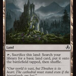 Innistrad Remastered - 278 - Evolving Wilds - Common - C - Non-foil (Front)