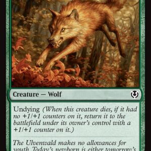 Innistrad Remastered - 227 - Young Wolf - Common - G - Non-foil (Front)