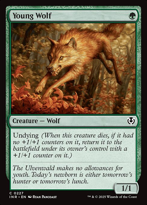 Innistrad Remastered - 227 - Young Wolf - Common - G - Non-foil (Front)