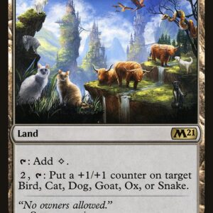 Core Set 2021 - 242 - Animal Sanctuary - Rare - C - Foil