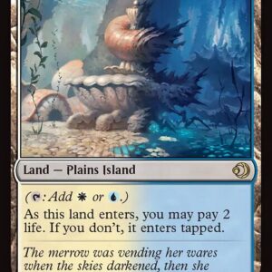 Lorwyn Eclipsed - 265 - Hallowed Fountain - Rare - C - Non-foil (Front)