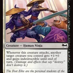 Teenage Mutant Ninja Turtles - 146 - Foot Elite - Common - WB - Non-foil (Front)