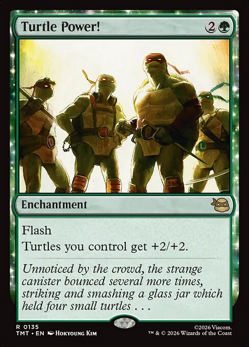 Teenage Mutant Ninja Turtles - 135 - Turtle Power! - Rare - G - Non-foil (Front)
