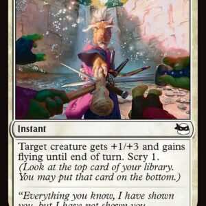 Teenage Mutant Ninja Turtles - 8 - Hamato Guardian Stance - Common - W - Non-foil (Front)